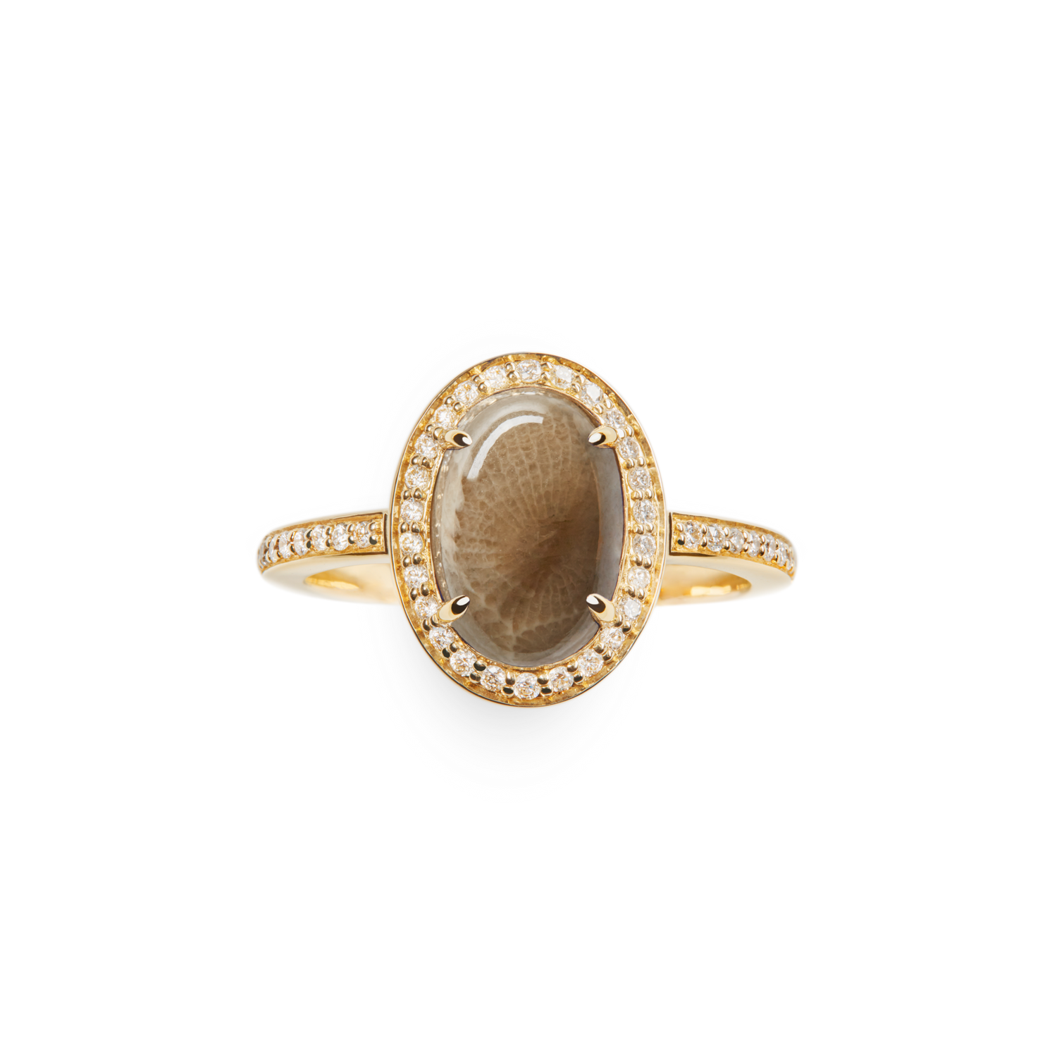 Petite Diamond Pave Petoskey Oval Ring - Yellow Gold